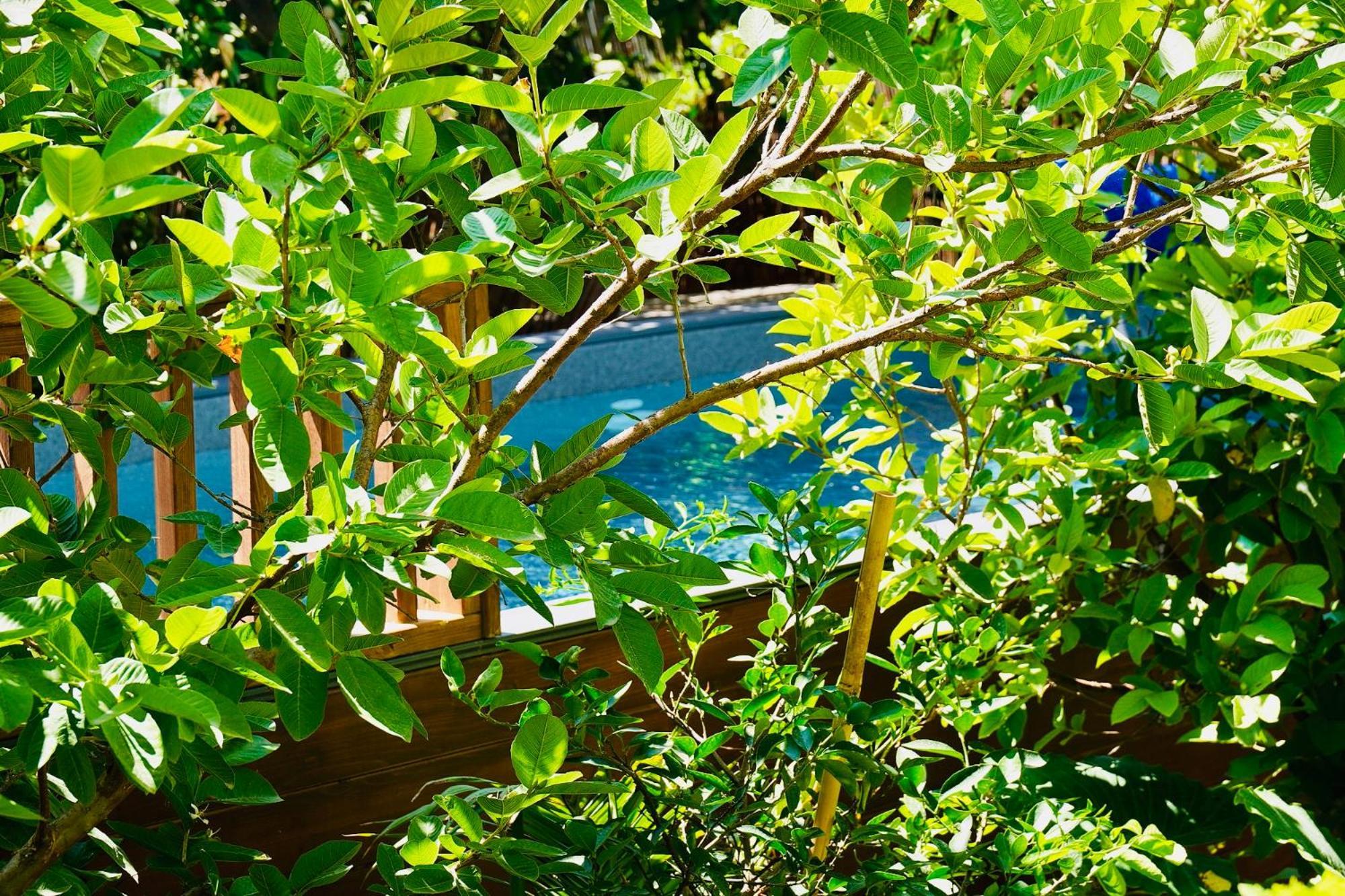אדמת הארץ - Admat Haaretz Villa Hazon Exterior photo