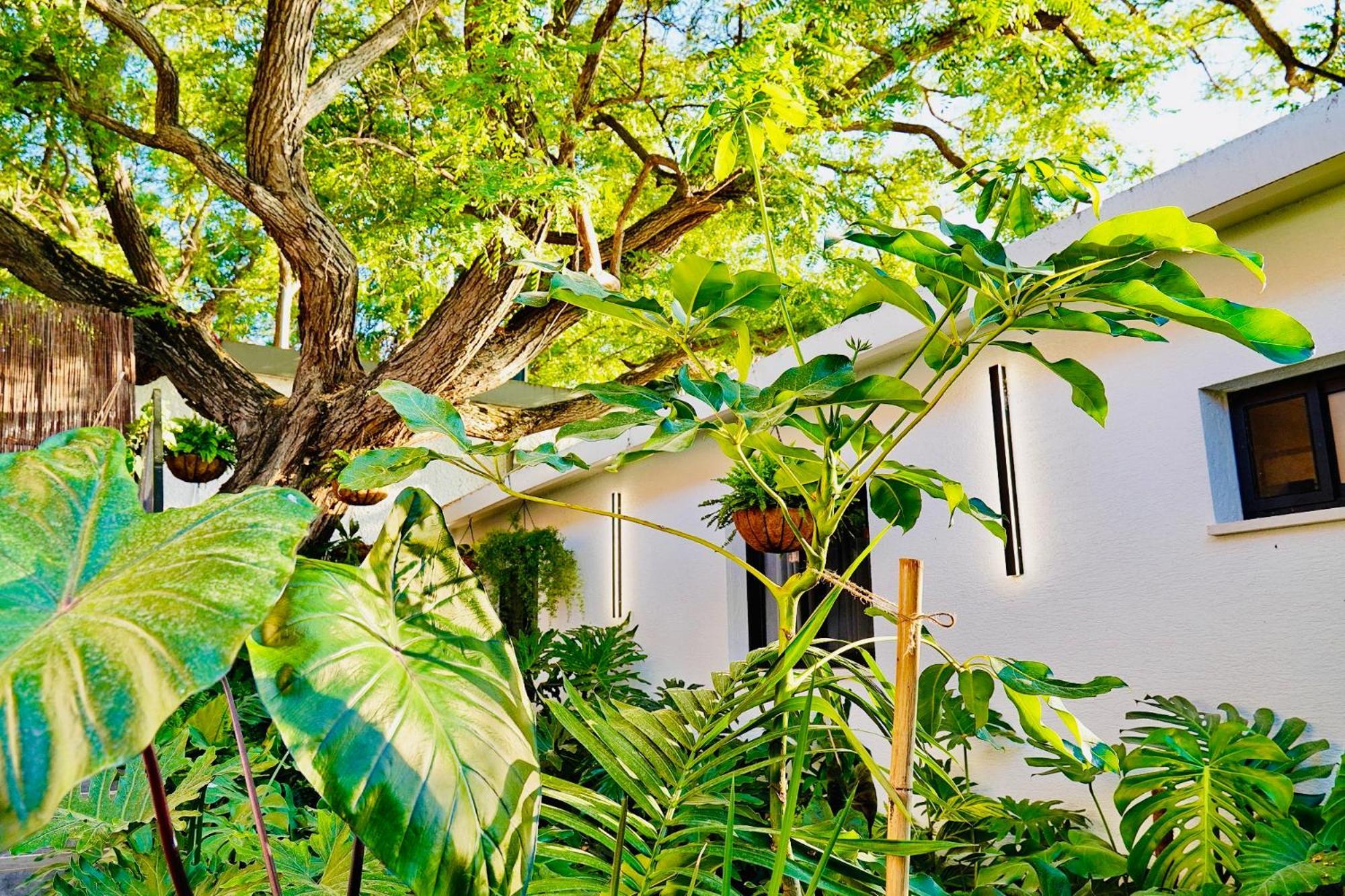 אדמת הארץ - Admat Haaretz Villa Hazon Exterior photo